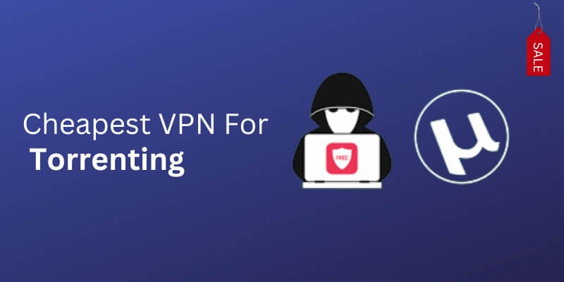 Best Cheapest VPN for Torrenting with Zero Logs (2023)